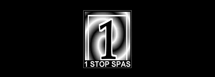 2008-Started-the-Business-45488
