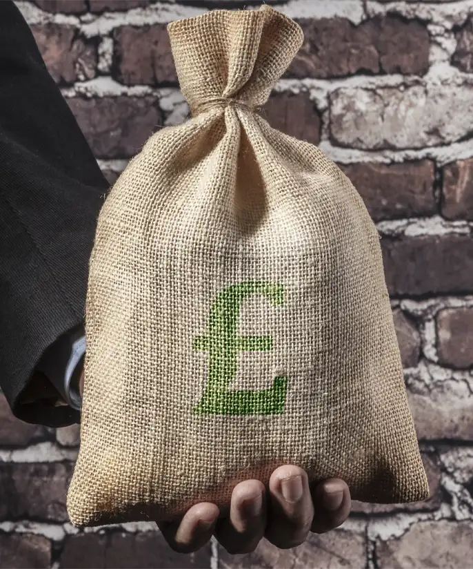 Money-bag-4534535