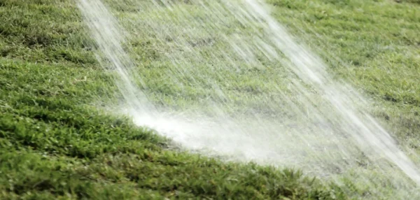 Water-draining-onto-grass-34543-scaled