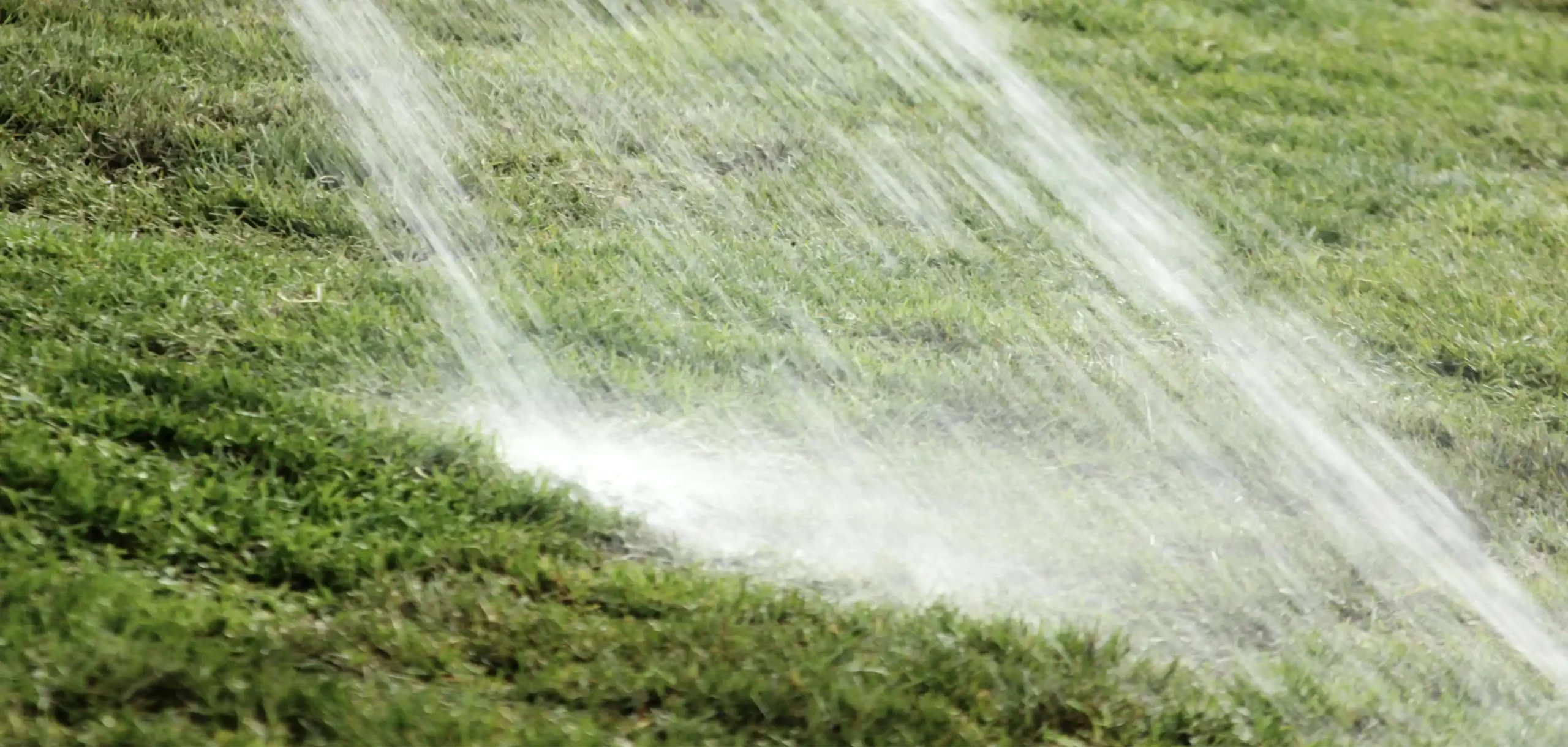 Water-draining-onto-grass-34543-scaled