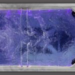 Icelandic-Swim_WGS450-4P-waterscape-top-view-5-scaled