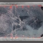 Icelandic-Swim_e62a0cf1c8fe23eb3a78d46124b94635