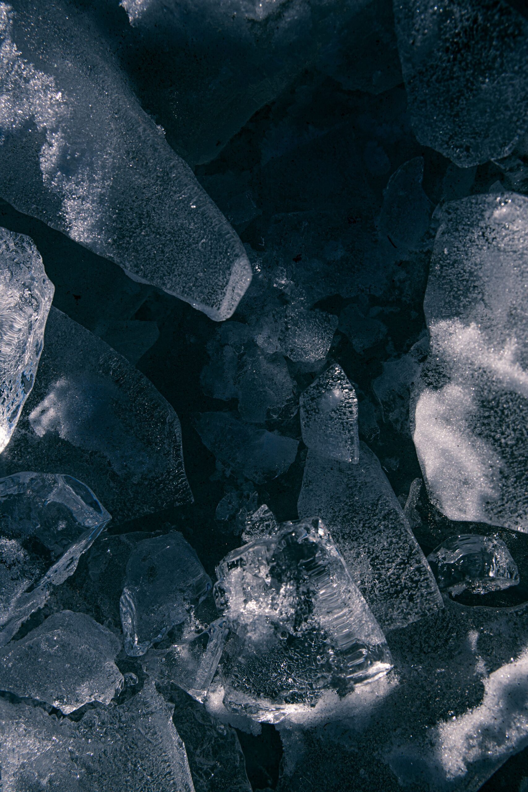 pexels-babydov-7787959-scaled