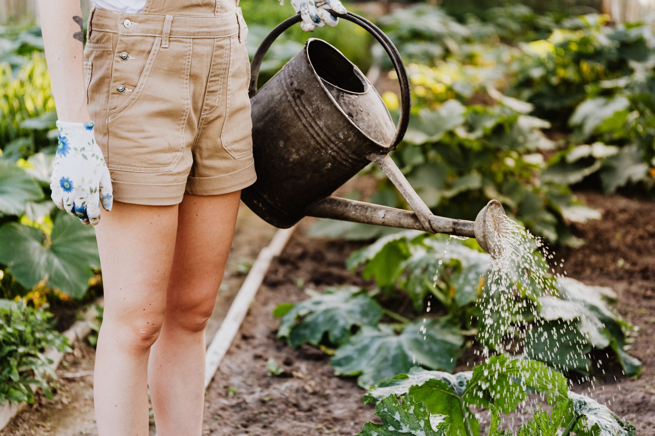 pexels-karola-g-4750270-scaled